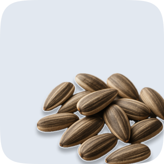 Seeds