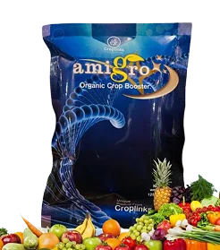 Amigro