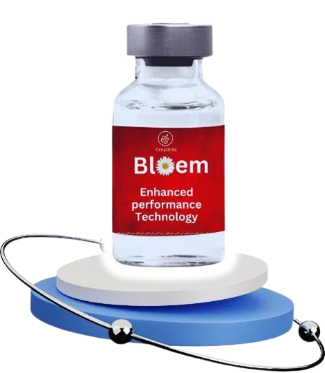 Bloem