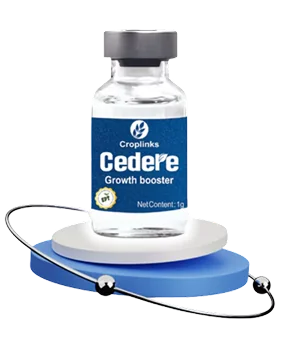 Cedere