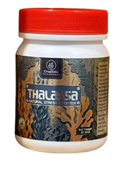 Thalassa