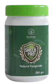 Shield Pro