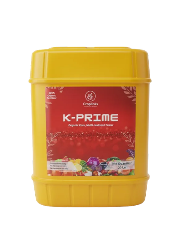 K-Prime