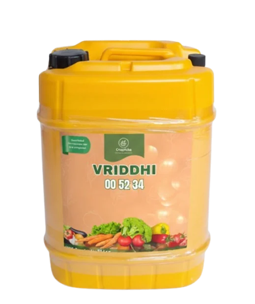 Vriddhi (00 52 34)