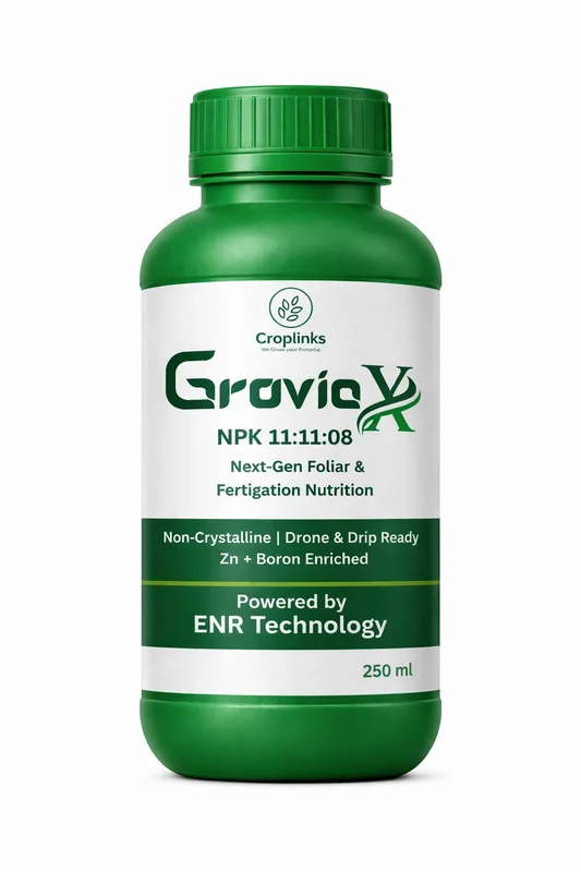 Groviax (11 11 08)
