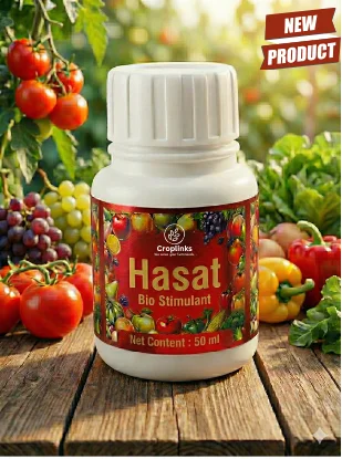 HASAT