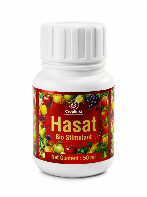 Hasat