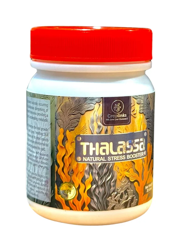 Thalassa Tab