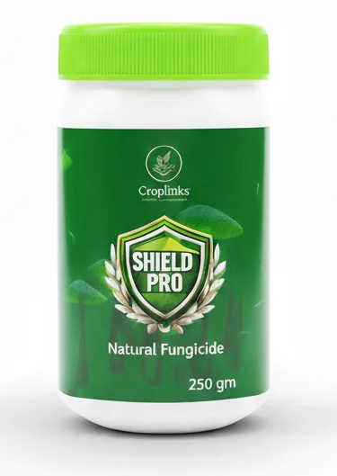 Shield Pro