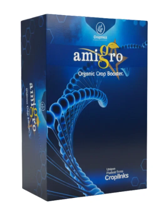 Amigro