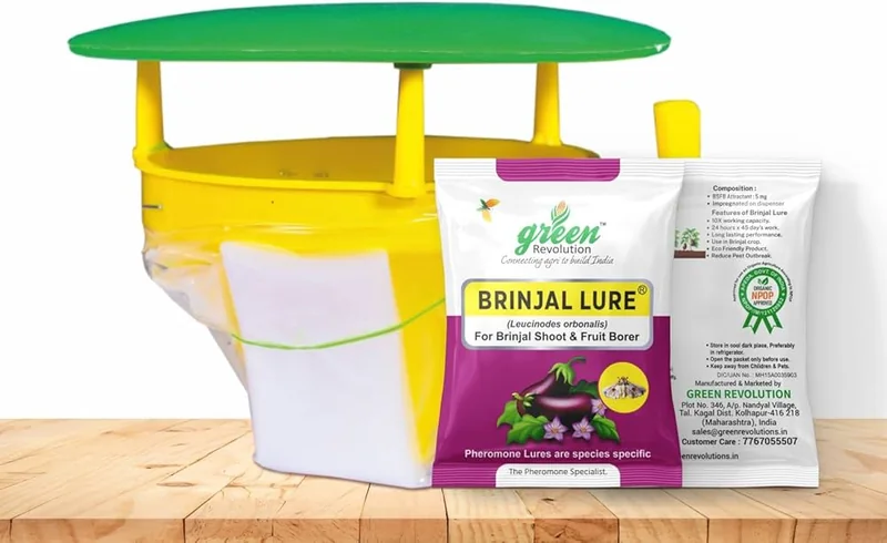 Funnel Trap With Brinjal Lure