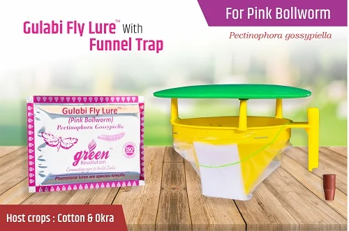 Funnel Trap With Gulabi Fly Lure