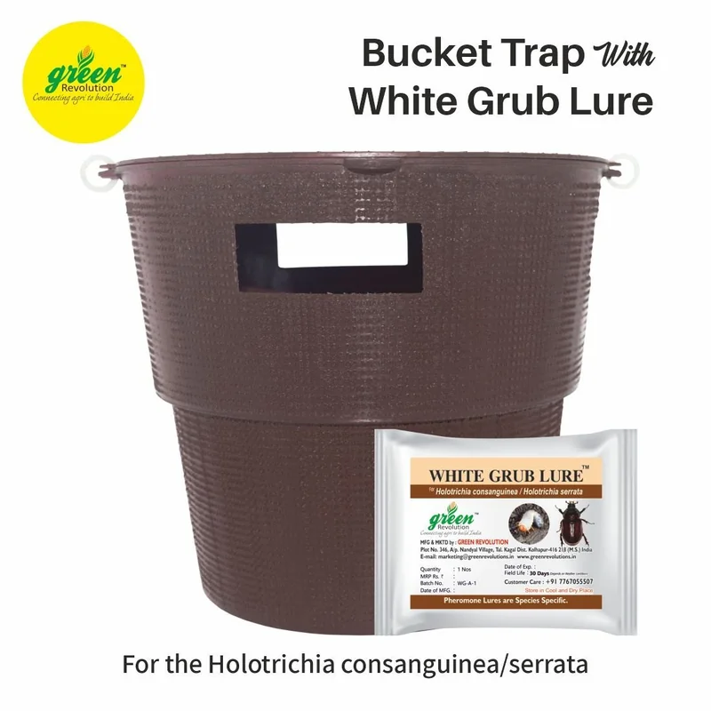 Bucket Trap With White Grub Lure