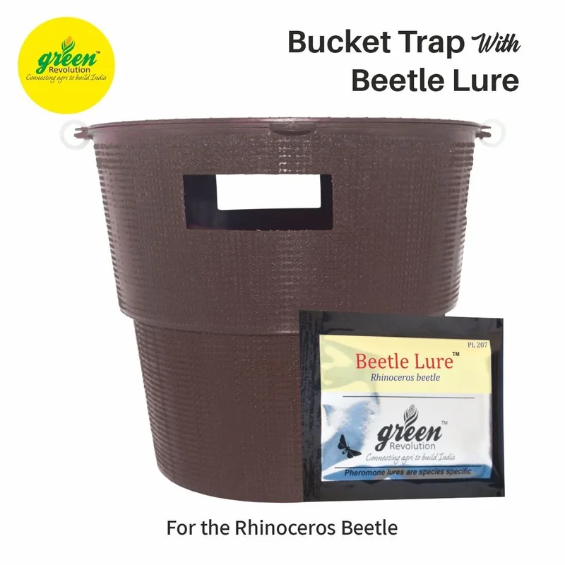 Bucket Trap With Beetle Lure