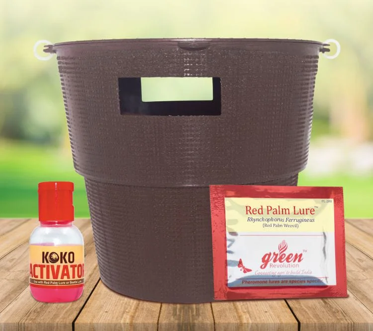 Bucket Trap With Red Palm Weevil Lure