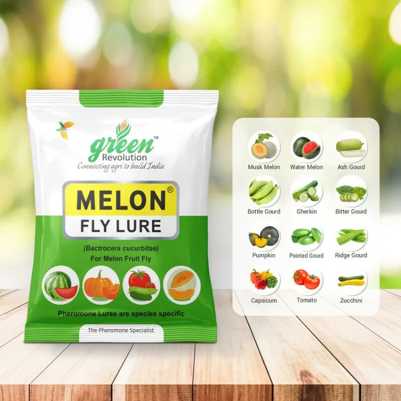 Melon Fly Lure