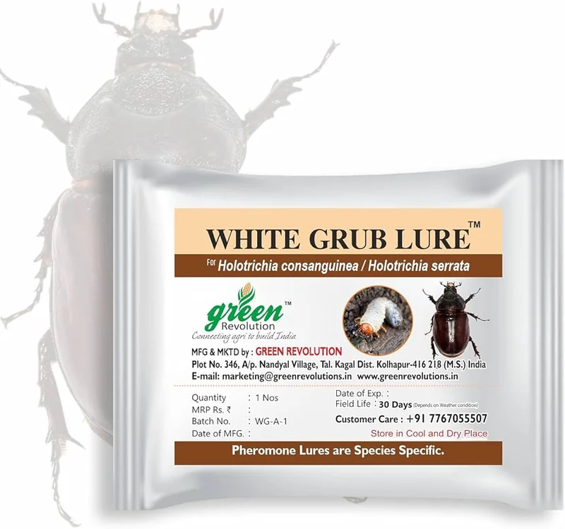 White Grub Lure