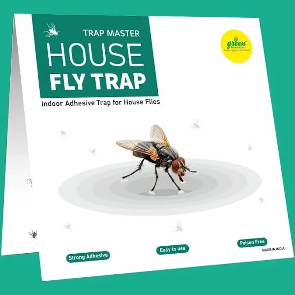 house fly trap