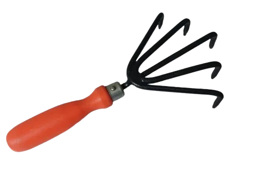 Black Punja