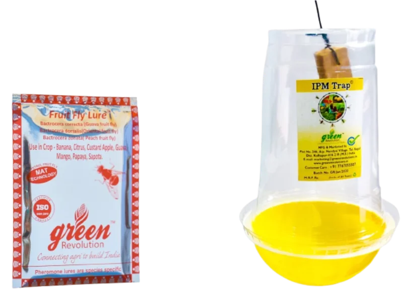 Ipm Trap With Fruit Fly Lure